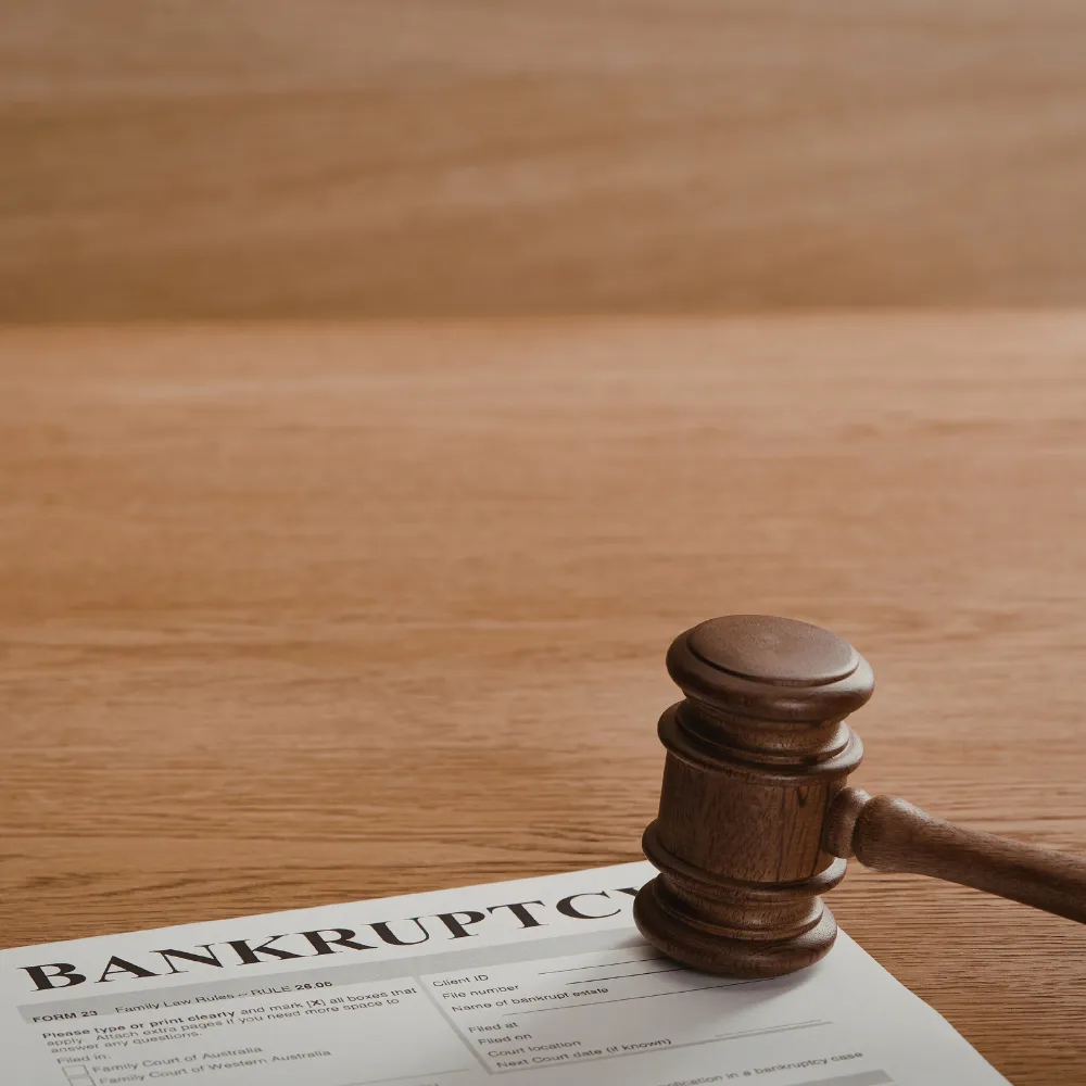 Insolvencia de Persona Natural y Jurídica